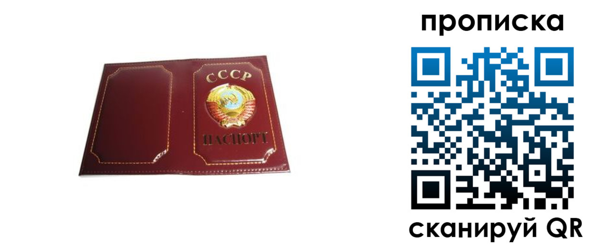 прописка гарантия в Чапаевске